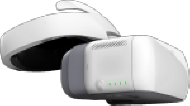 DJI Goggles